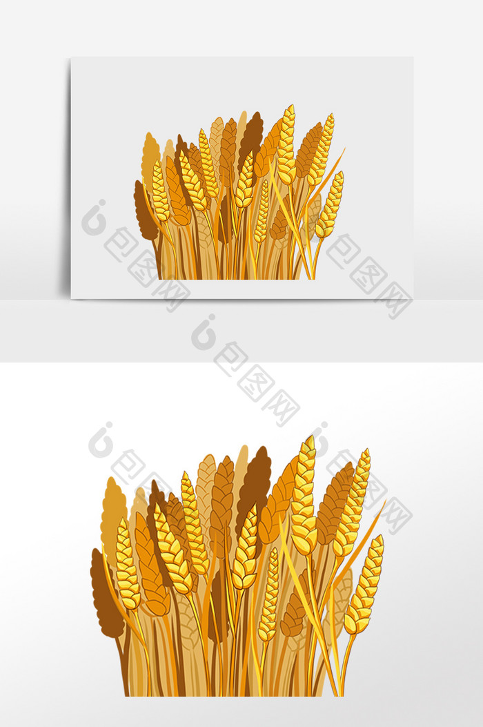 农田农作物小麦粮食