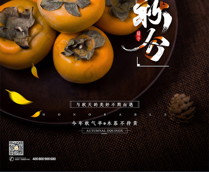 秋季柿子传统节气之秋分海报
