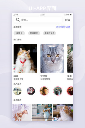 简约风格宠物社交APP界面搜索UI界面