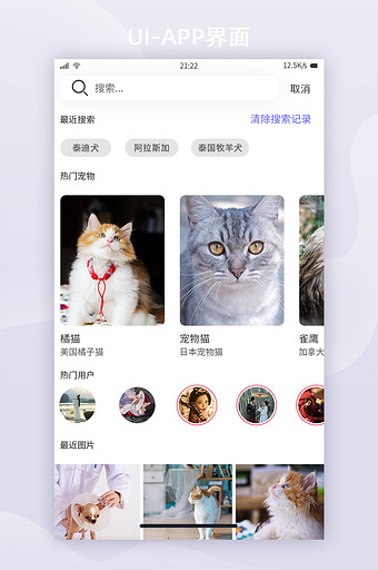 简约风格宠物社交APP界面搜索UI界面图片