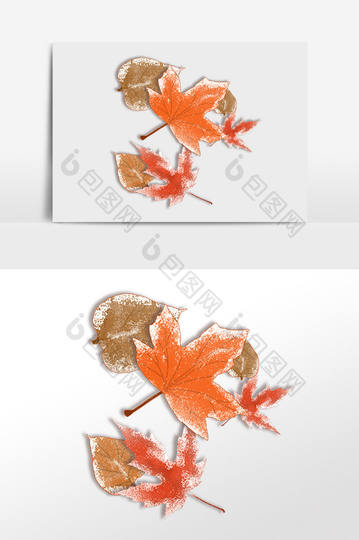 霜降落霜植物树叶叶子图片图片