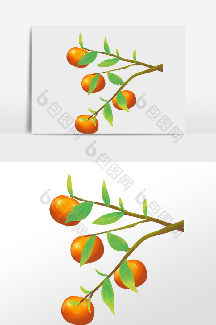 霜降橘子二十四节气图片图片