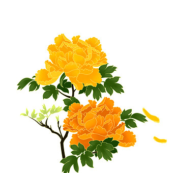 花开富贵富贵牡丹小动画动图gif