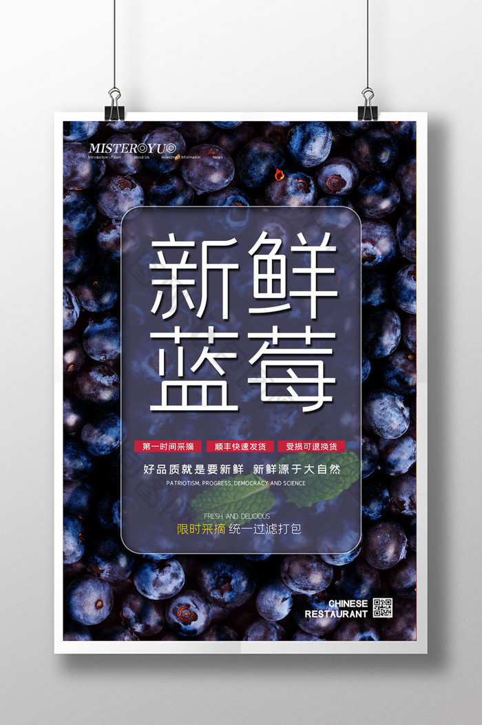 新鲜蓝莓有机水果促销图片图片