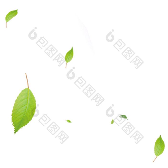 树叶绿叶叶子元素小动画动图GIF