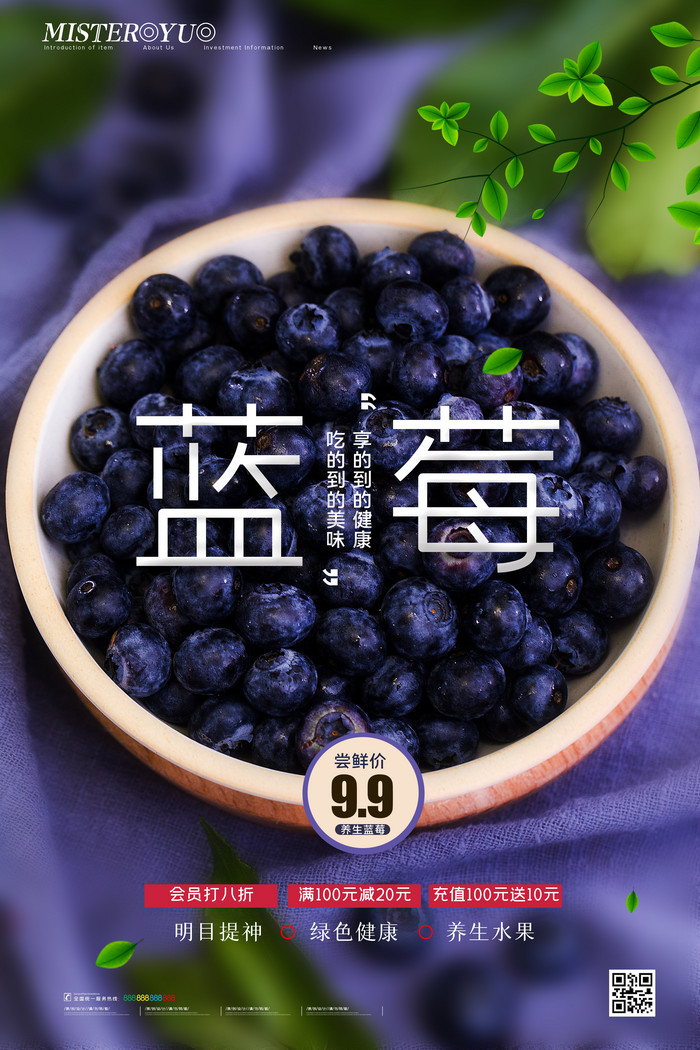 养生水果蓝莓促销图片