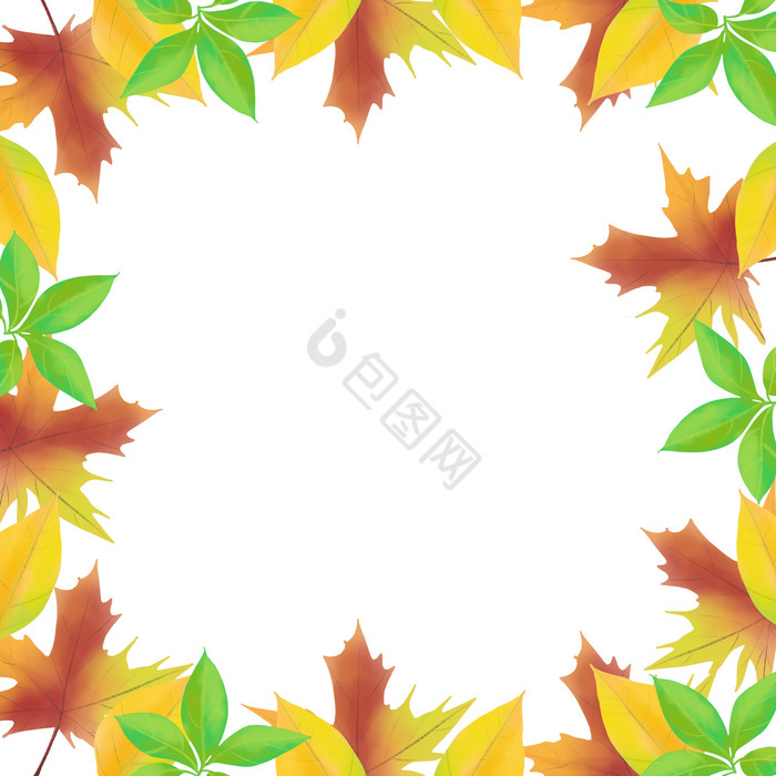 树叶边框金秋秋天图片