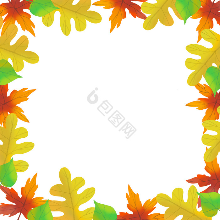 秋天秋季金秋树叶边框图片