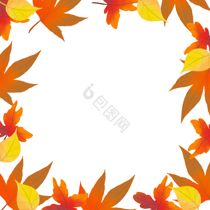 秋天秋季树叶枫叶边框图片
