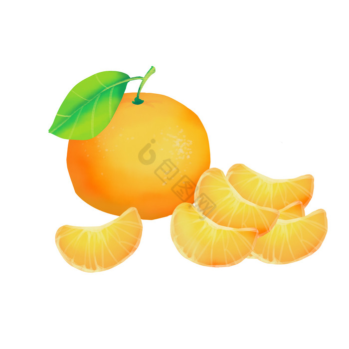 秋天果实蜜橘橘子图片