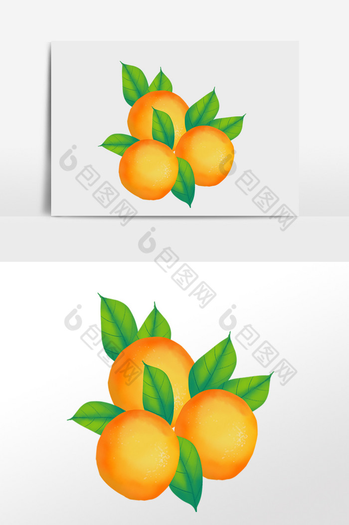 秋天水果柑橘蜜橘橘子图片图片