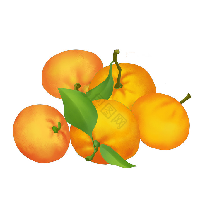 秋天水果蜜橘橘子图片