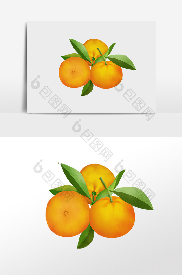 秋天水果柑橘蜜橘