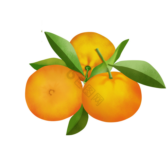 秋天水果柑橘蜜橘图片