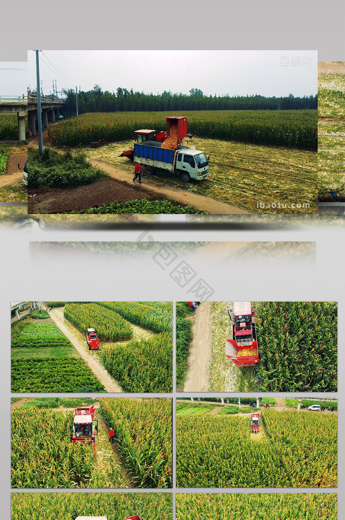 无人机实拍玉米收割机在农田作业