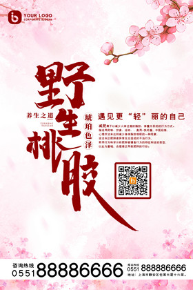 粉色中国风传统野生桃胶美容海报