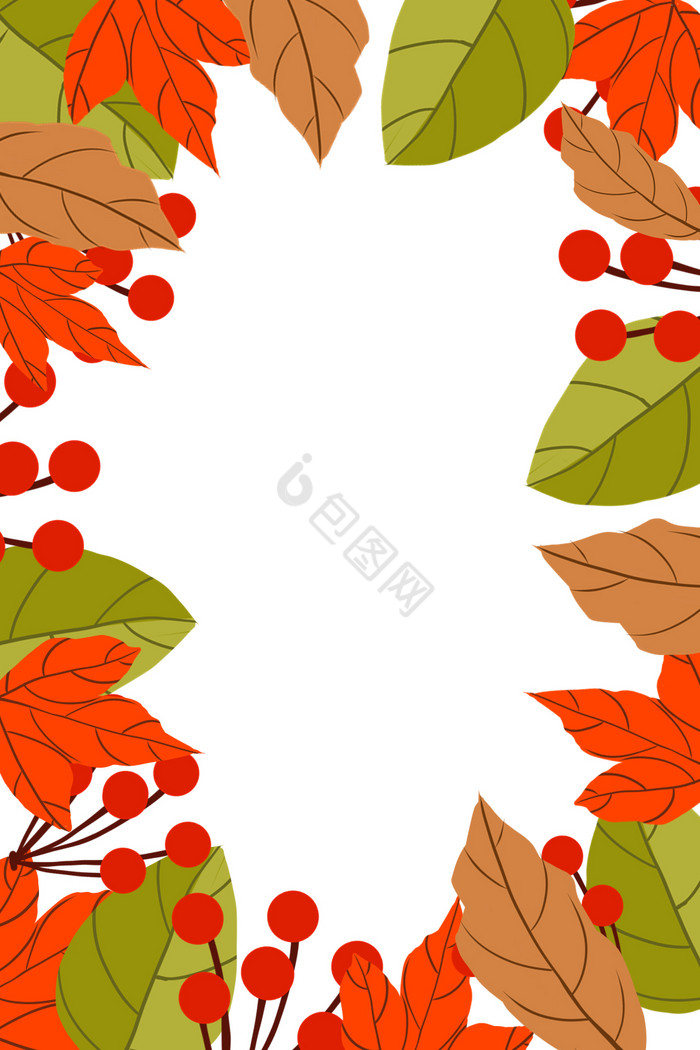 秋天植物叶子树叶边框图片