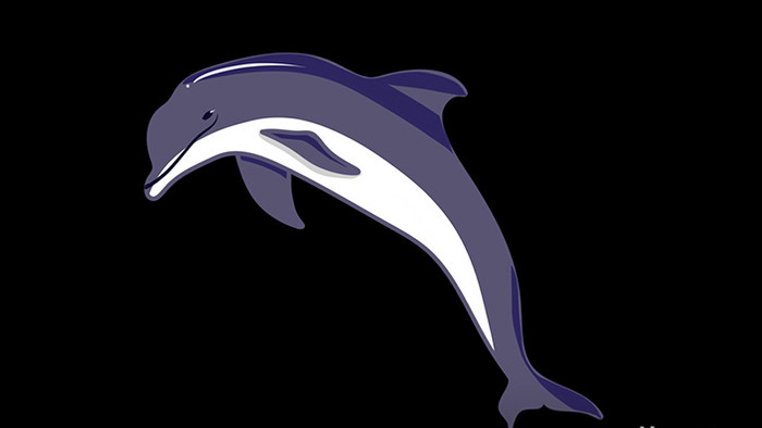包图扁平画风可爱风动物素材小动效海豚