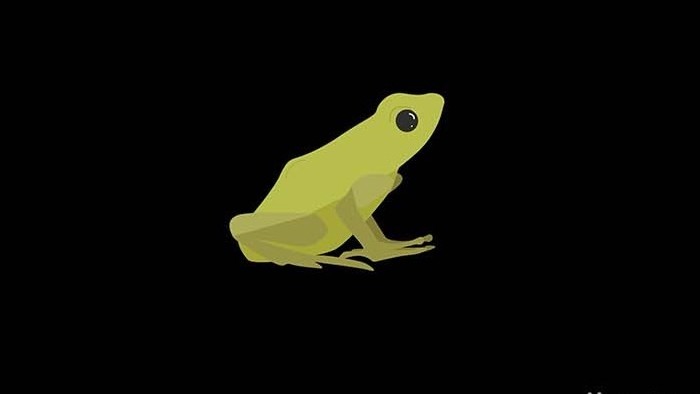 可爱清新风动物类青蛙扁平风素材MG动画