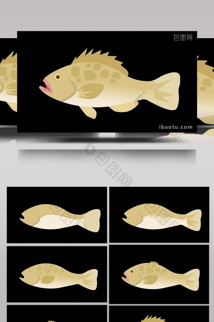 可爱清新风动物类石斑鱼扁平风素材MG动画