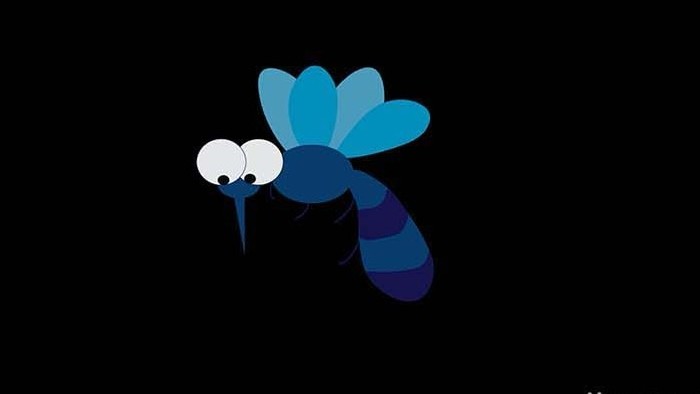 可爱清新风动物类蚊子扁平风素材MG动画