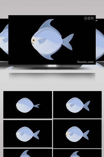 可爱清新风动物类银鲳鱼扁平风素材MG动画图片