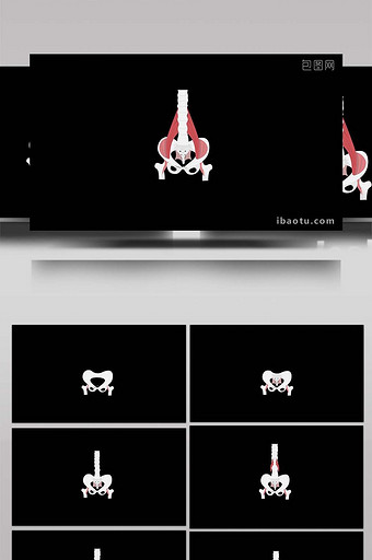 扁平画风健身身体部位类骨盆肌肉MG动画图片