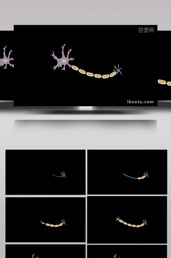 扁平画风健身身体部位类神经元MG动画图片