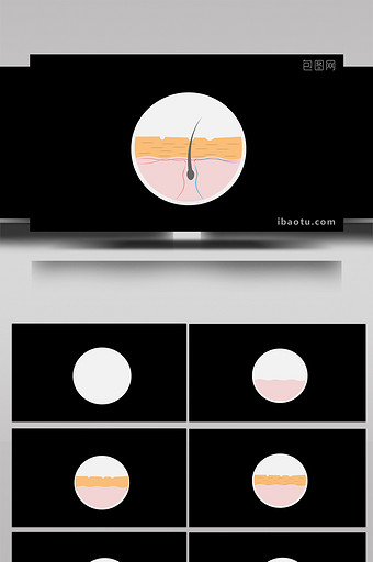 扁平风身体部位皮肤剖面小动效MG动画图片
