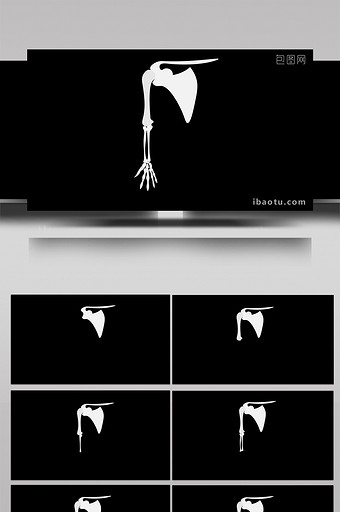 扁平风身体部位手臂骨骼小动效MG动画图片