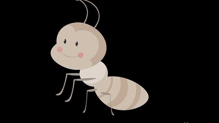 包图扁平画风可爱风动物素材小动效蚂蚁