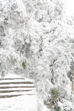 冬季下雪的衡山雪景