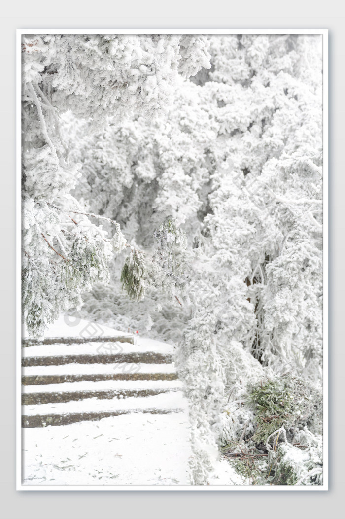 冬季下雪的衡山雪景图片图片