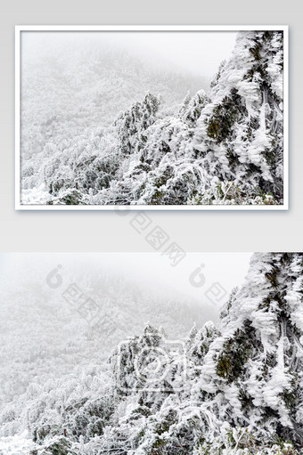 冬季雪中的长白山图片