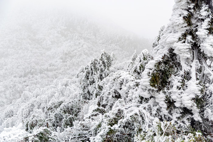 冬季雪中的长白山图片