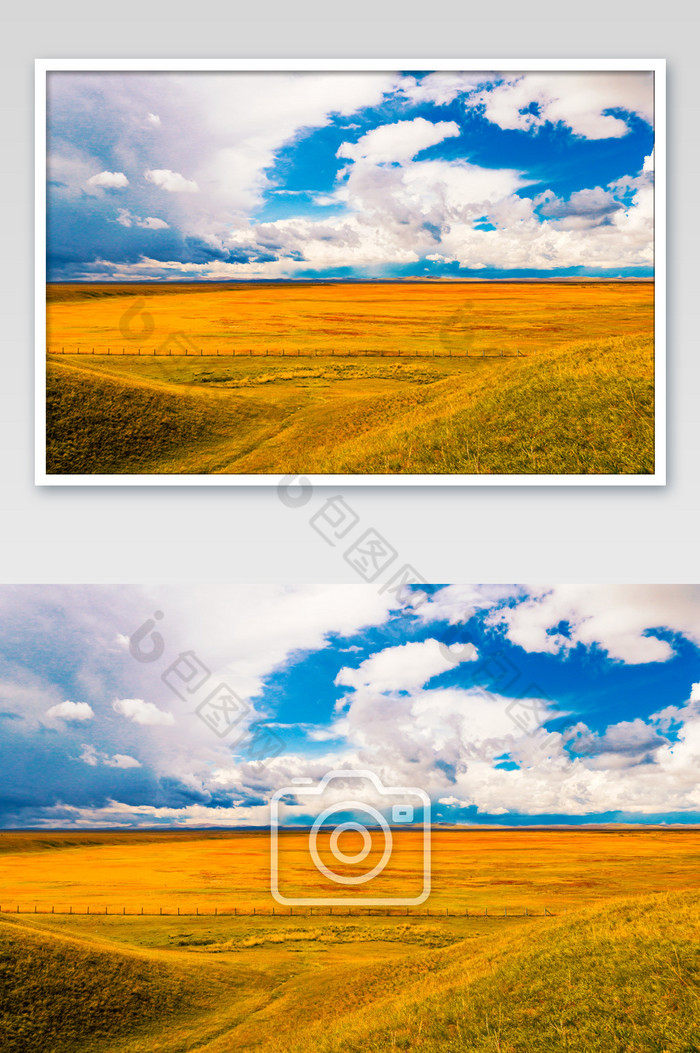 金黄的呼伦贝尔草原图片图片