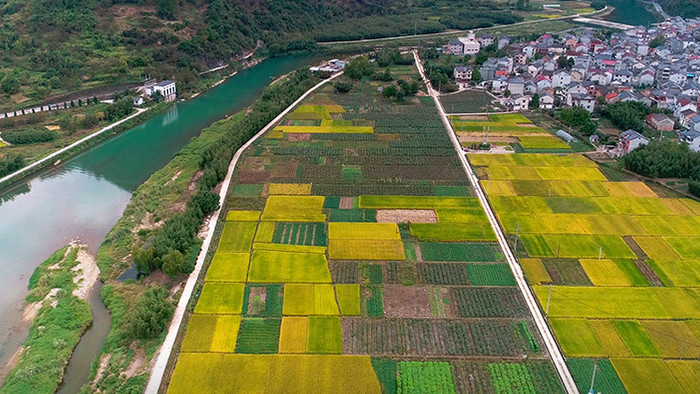 航拍浙江山区蔬菜粮食种植基地