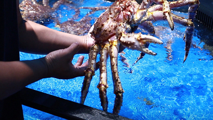 实拍各类海鲜生鲜帝王蟹波士顿龙虾海螺