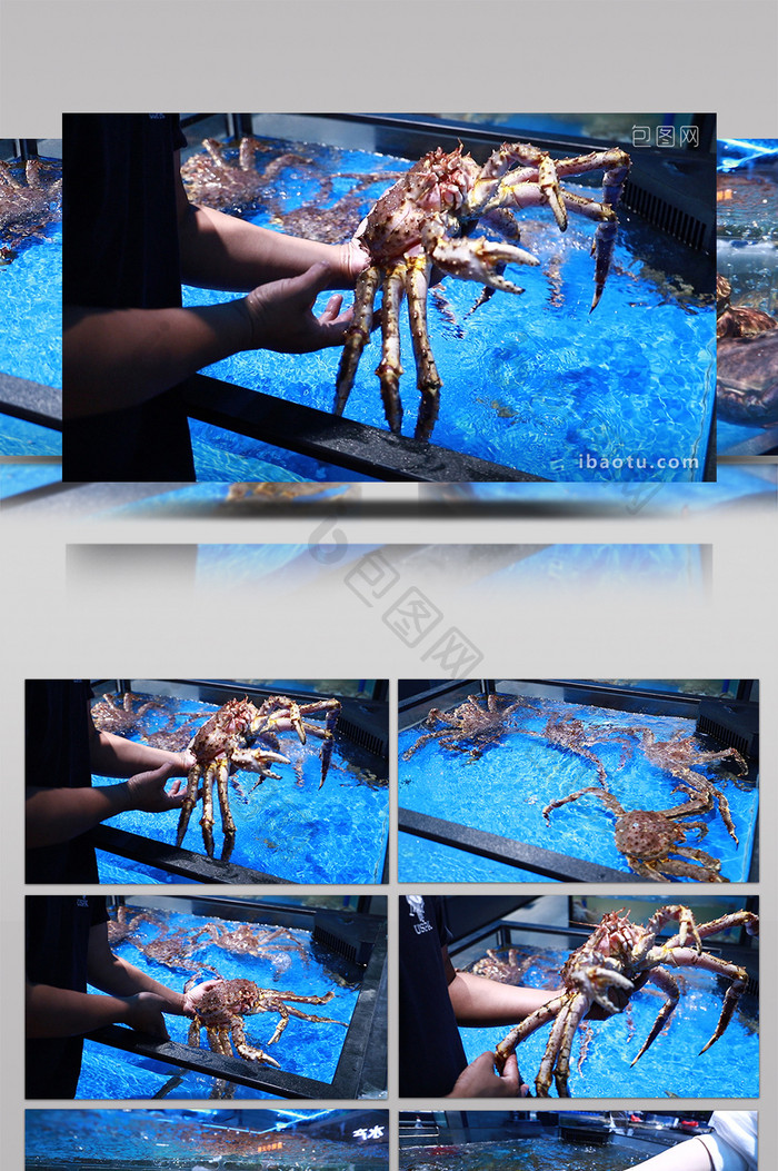 实拍各类海鲜生鲜帝王蟹波士顿龙虾海螺