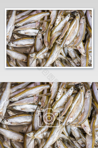 水产海鲜小鱼摄影图图片
