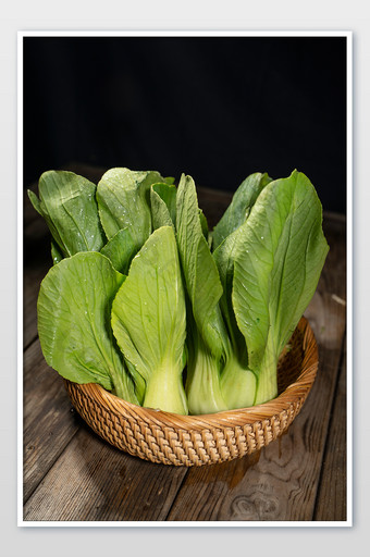绿色小白菜青菜叶子蔬菜图片