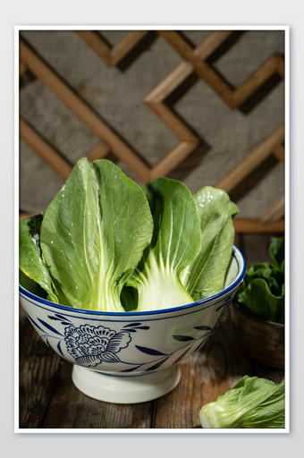 青菜小白菜有机蔬菜摄影图图片