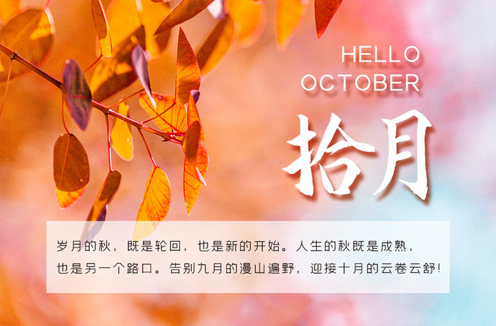 简约大气日历月初问候10月你好海报