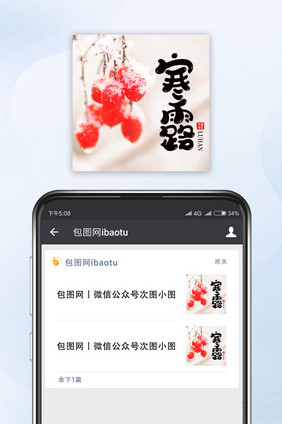 带露水的红色浆果寒露节气公众号小图