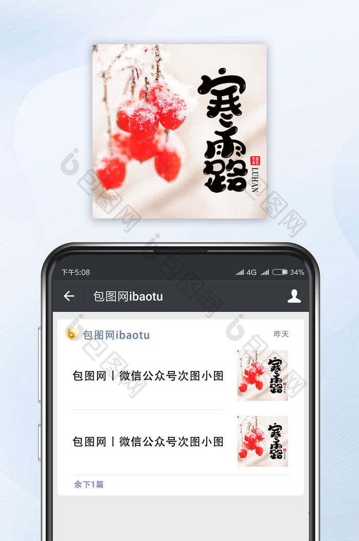 带露水的红色浆果寒露节气公众号小图