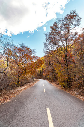 秋天自然风景区的深秋公路