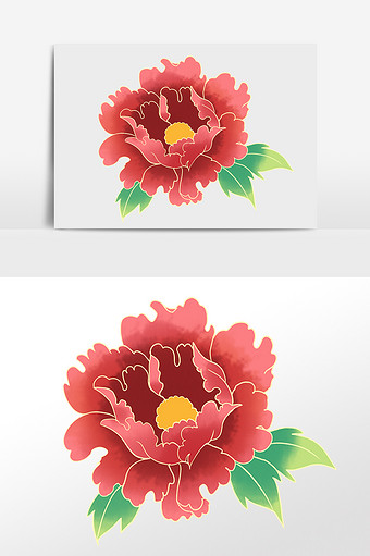 金边牡丹国花牡丹花