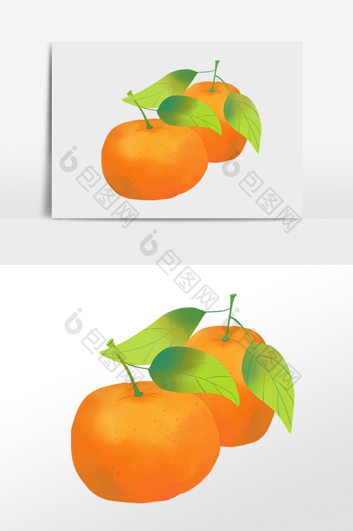 成熟果实橘子蜜桔