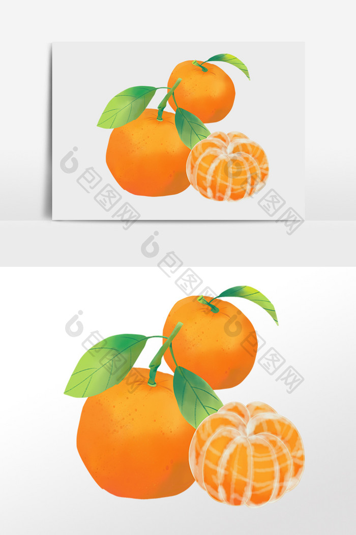 成熟果实柑橘蜜桔