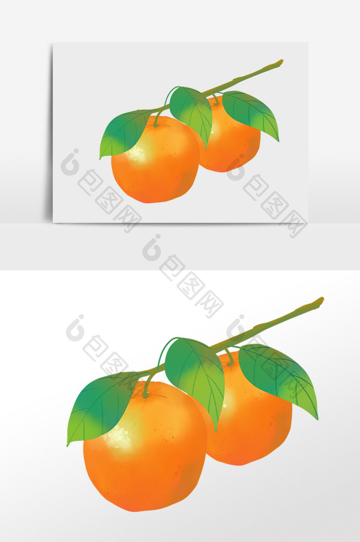 成熟果实柑橘橘子